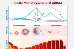 How to determine the phase of a woman's menstrual cycle?