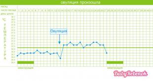 Basal temperature during ovulation and after ovulation + chart