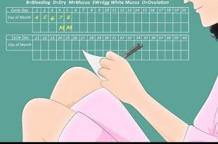 Cum să concepi un băiat 100 la sută: după calendarul lunar, în funcție de ovulație